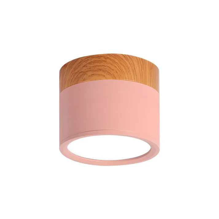 Hallway LED Ceiling Lights | Flush Mount Cylindrical Fixture