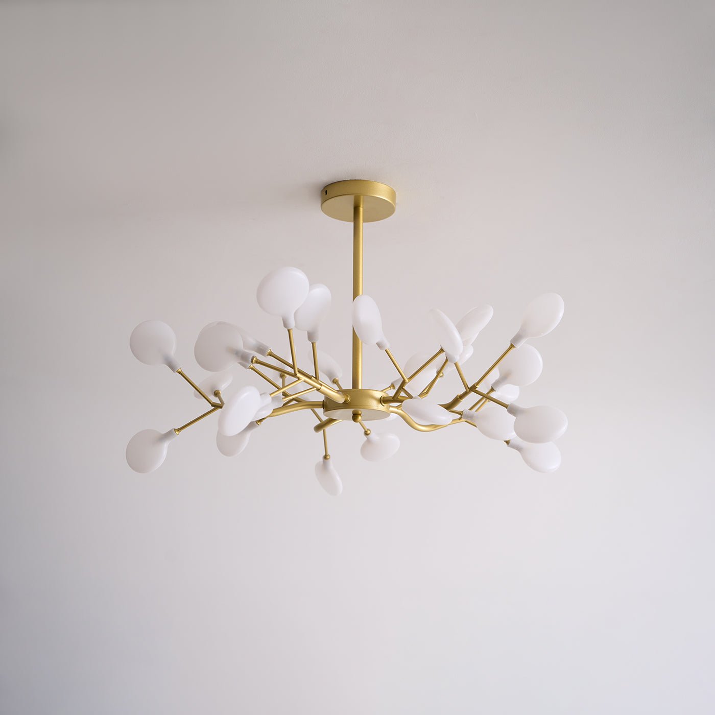 Chandelier Light | 30 to 63 Heads