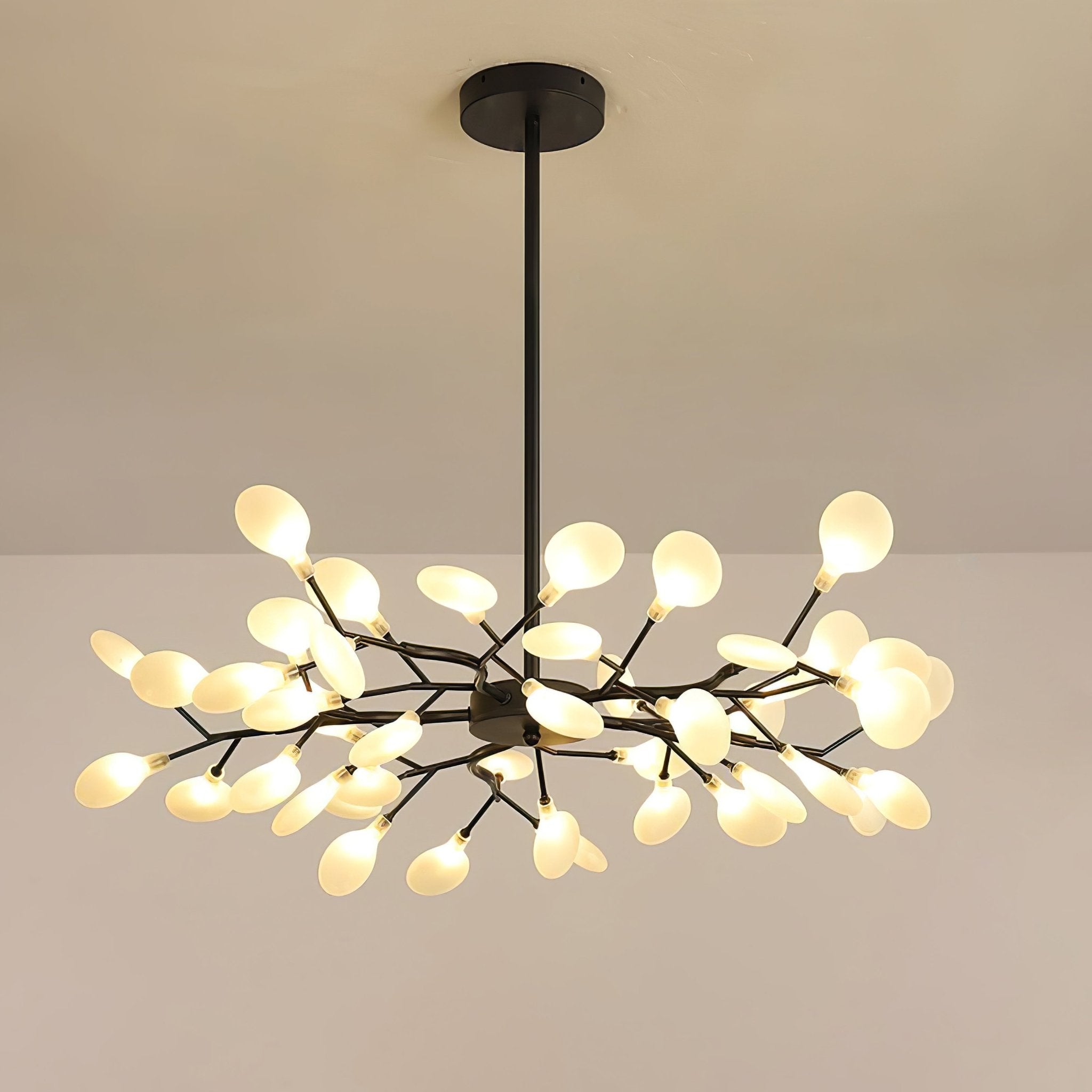 Chandelier Light | 30 to 63 Heads