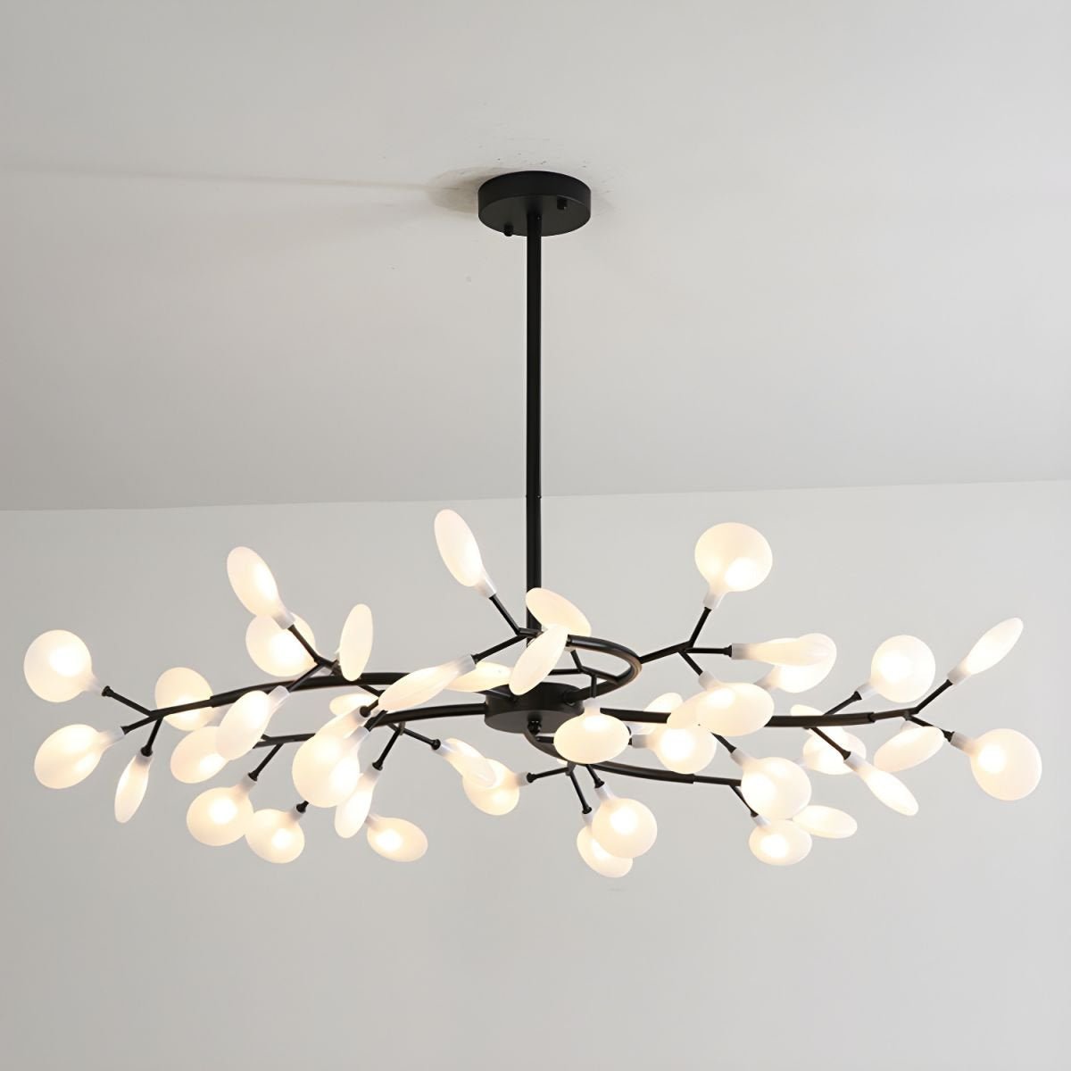 Chandelier Light | 30 to 63 Heads