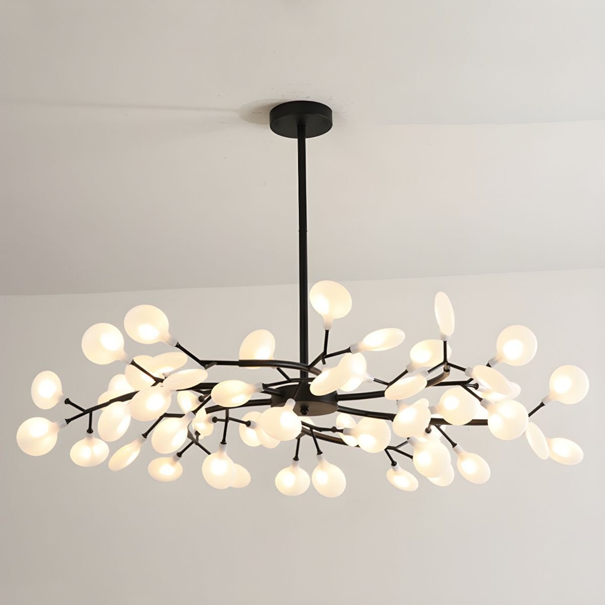 Chandelier Light | 30 to 63 Heads
