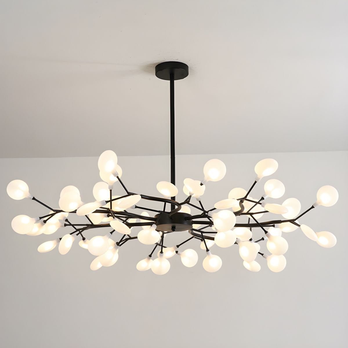 Chandelier Light | 30 to 63 Heads