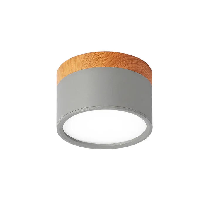 Hallway LED Ceiling Lights | Flush Mount Cylindrical Fixture