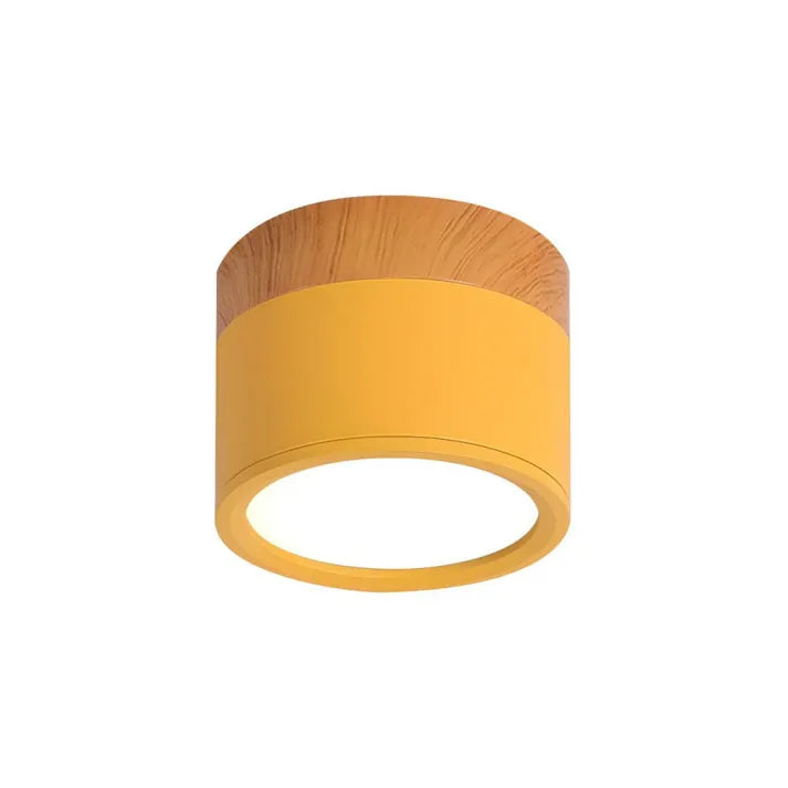 Hallway LED Ceiling Lights | Flush Mount Cylindrical Fixture