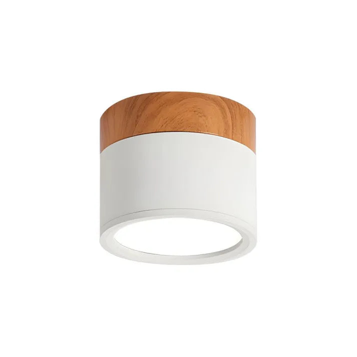Hallway LED Ceiling Lights | Flush Mount Cylindrical Fixture