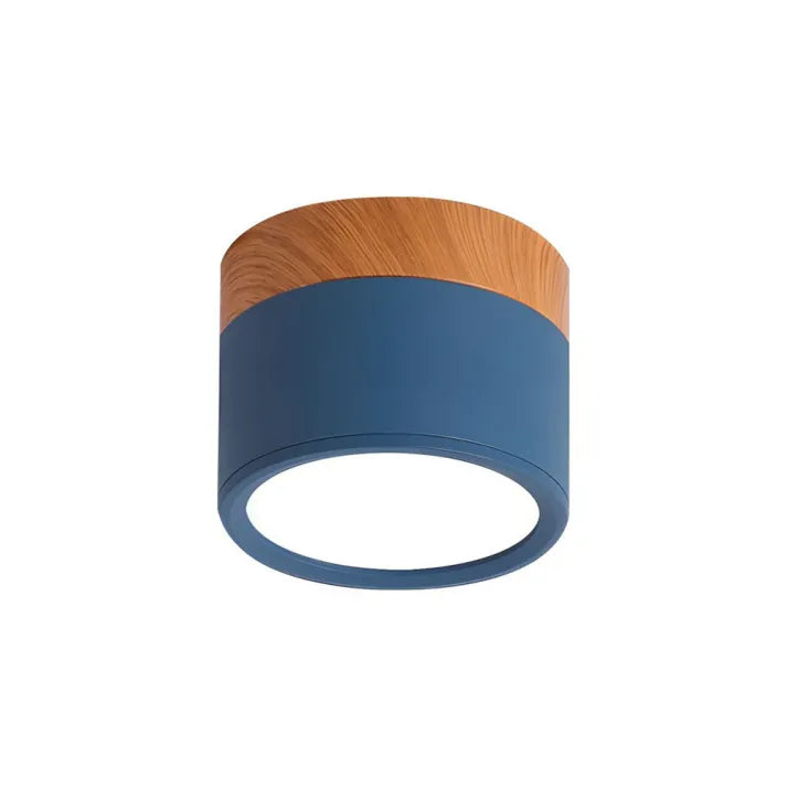 Hallway LED Ceiling Lights | Flush Mount Cylindrical Fixture