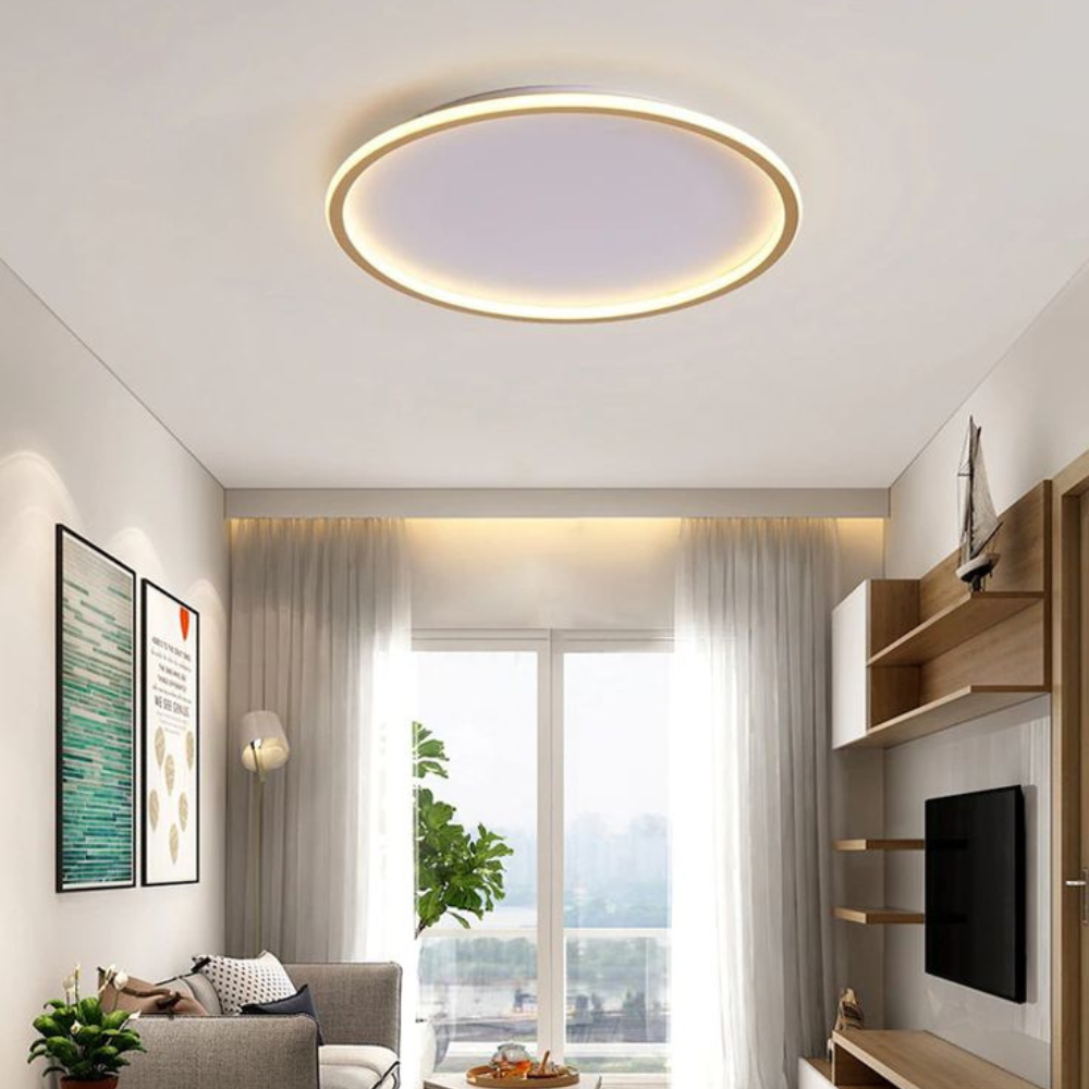 Ceiling Light | Modern Flush Mount LED Fixture