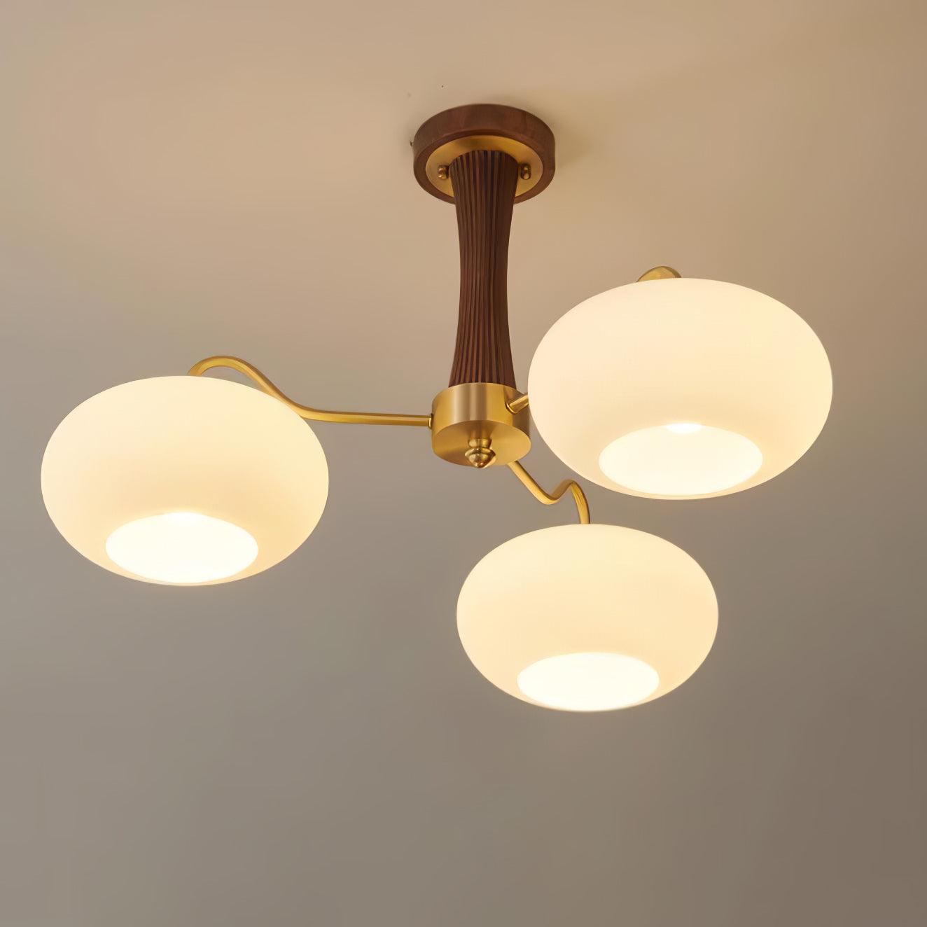 Ceiling Light  | Multi-Arm Glass Shade