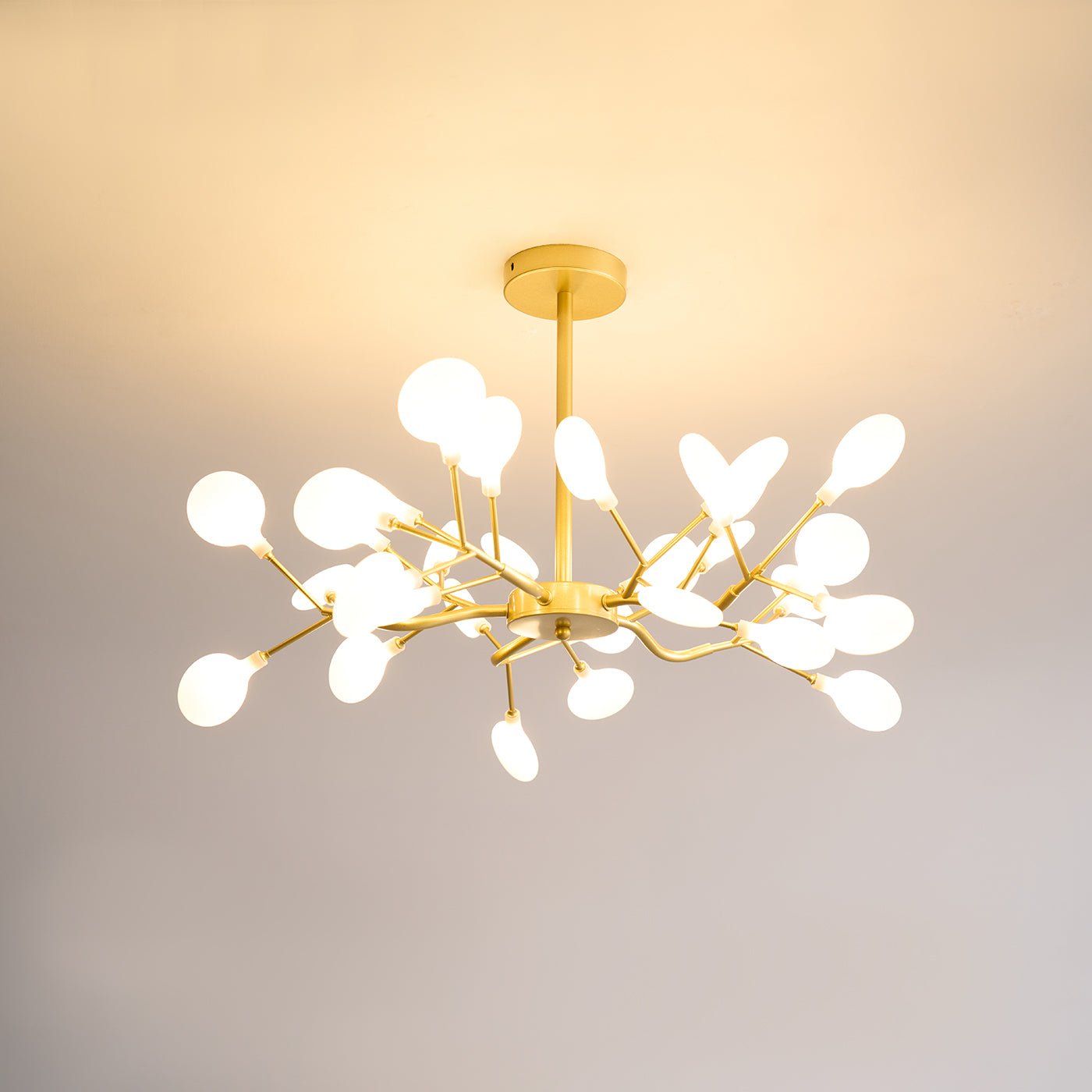 Chandelier Light |  30 to 63 Heads