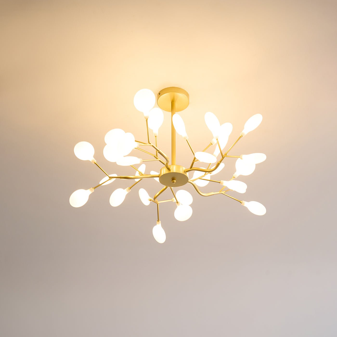 Chandelier Light |  30 to 63 Heads