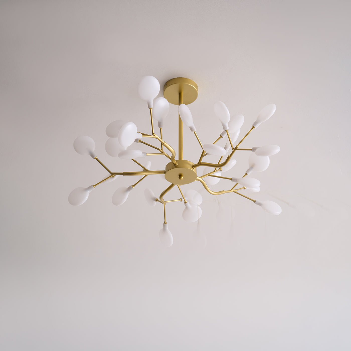 Chandelier Light |  30 to 63 Heads