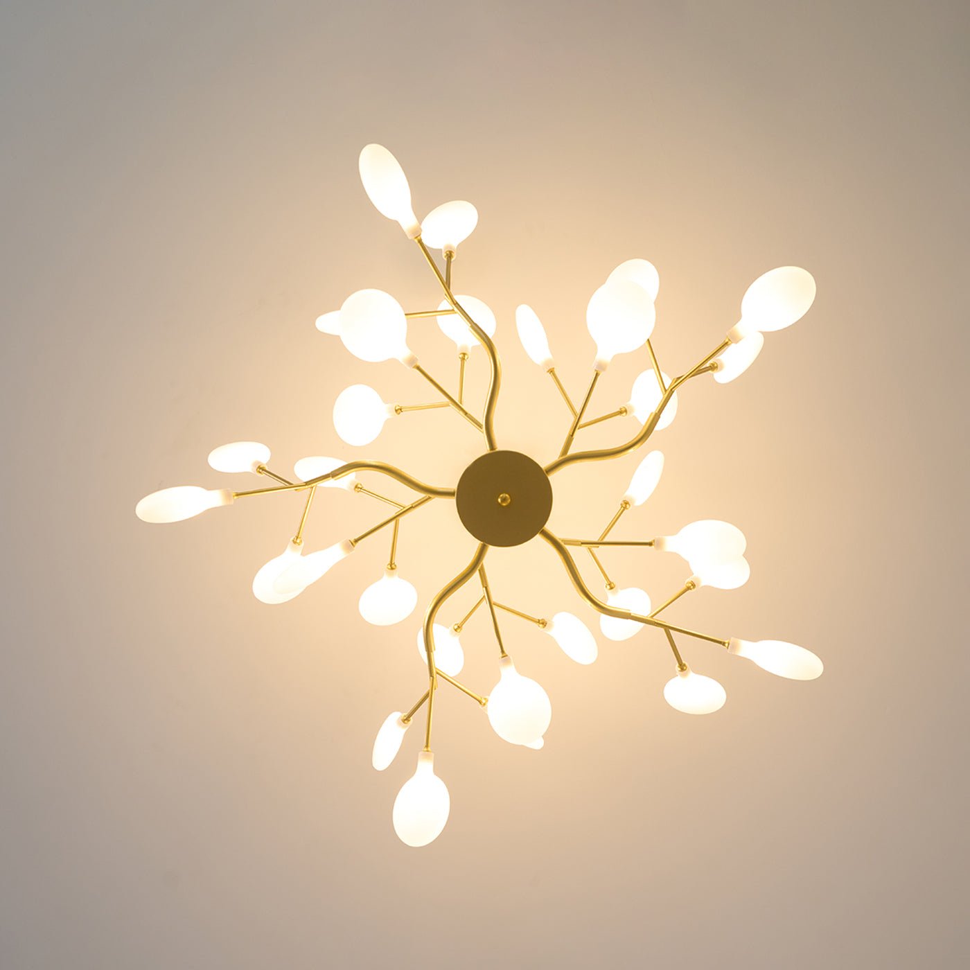 Chandelier Light |  30 to 63 Heads
