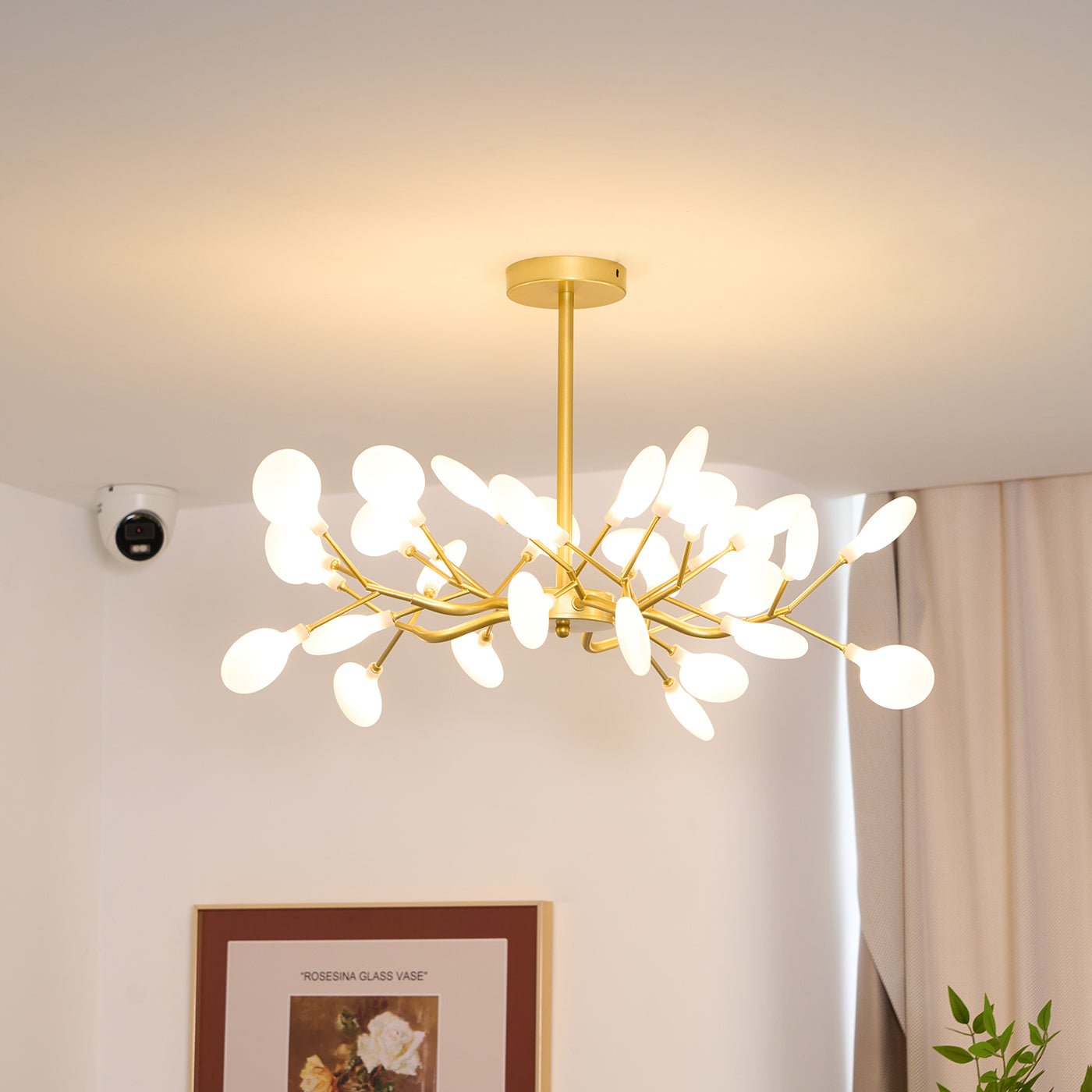Chandelier Light |  30 to 63 Heads