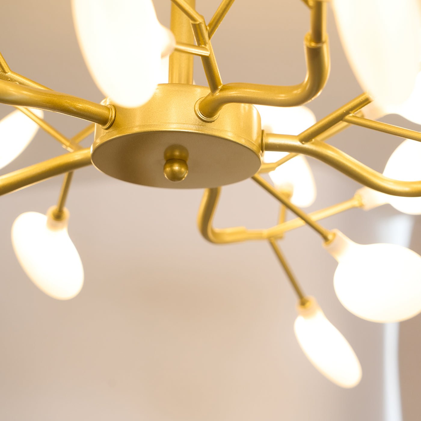 Chandelier Light |  30 to 63 Heads