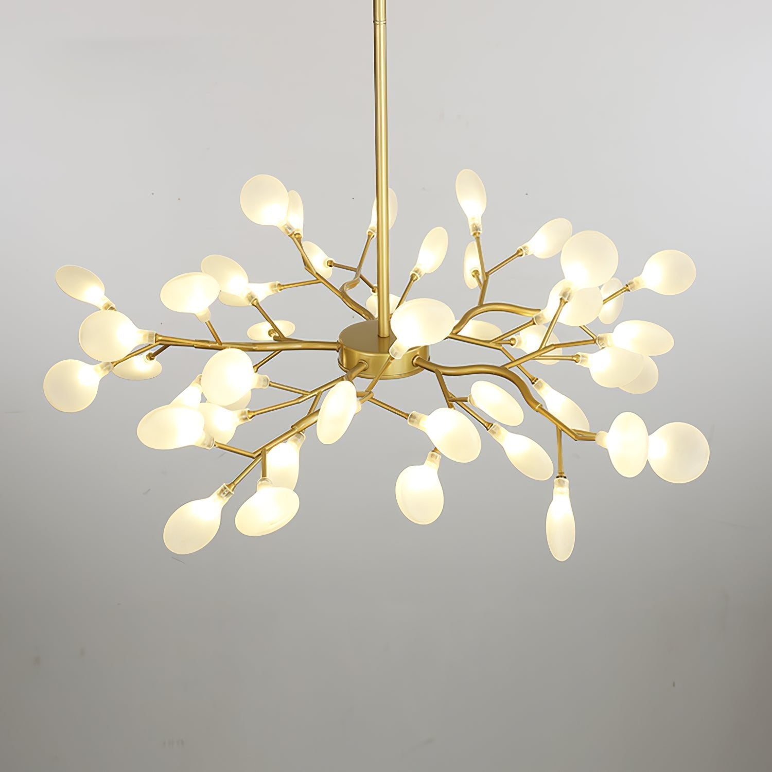 Chandelier Light |  30 to 63 Heads