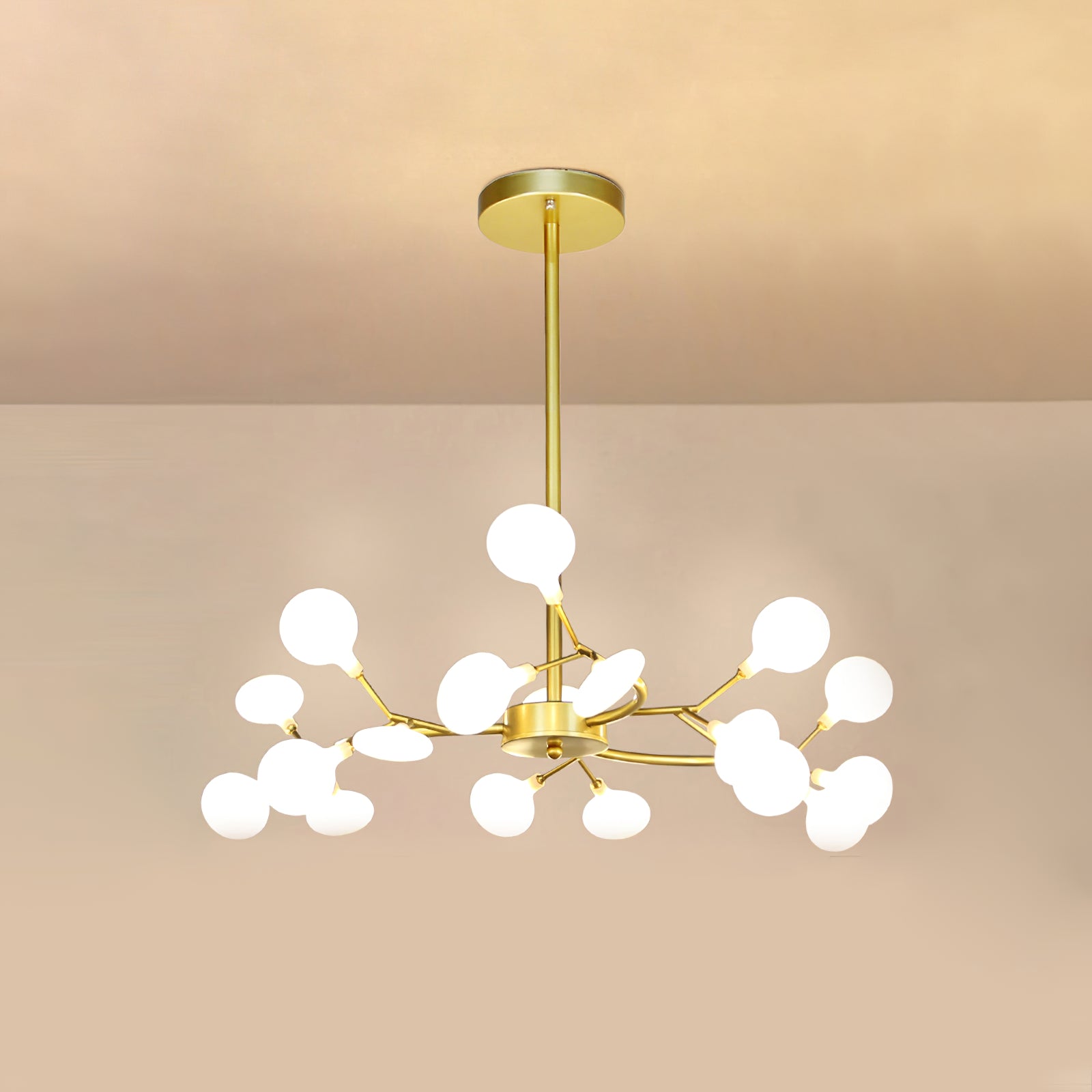 Chandelier Light |  30 to 63 Heads