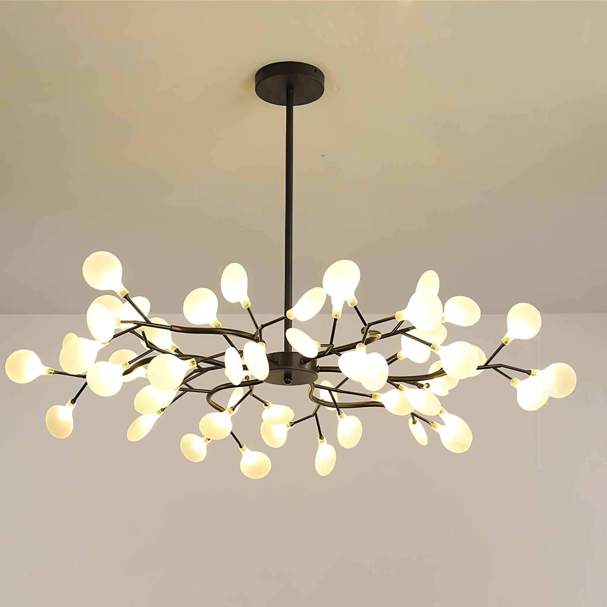 Chandelier Light |  30 to 63 Heads