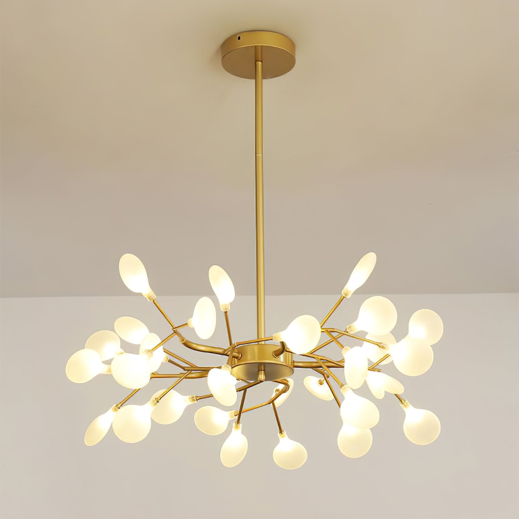 Chandelier Light |  30 to 63 Heads