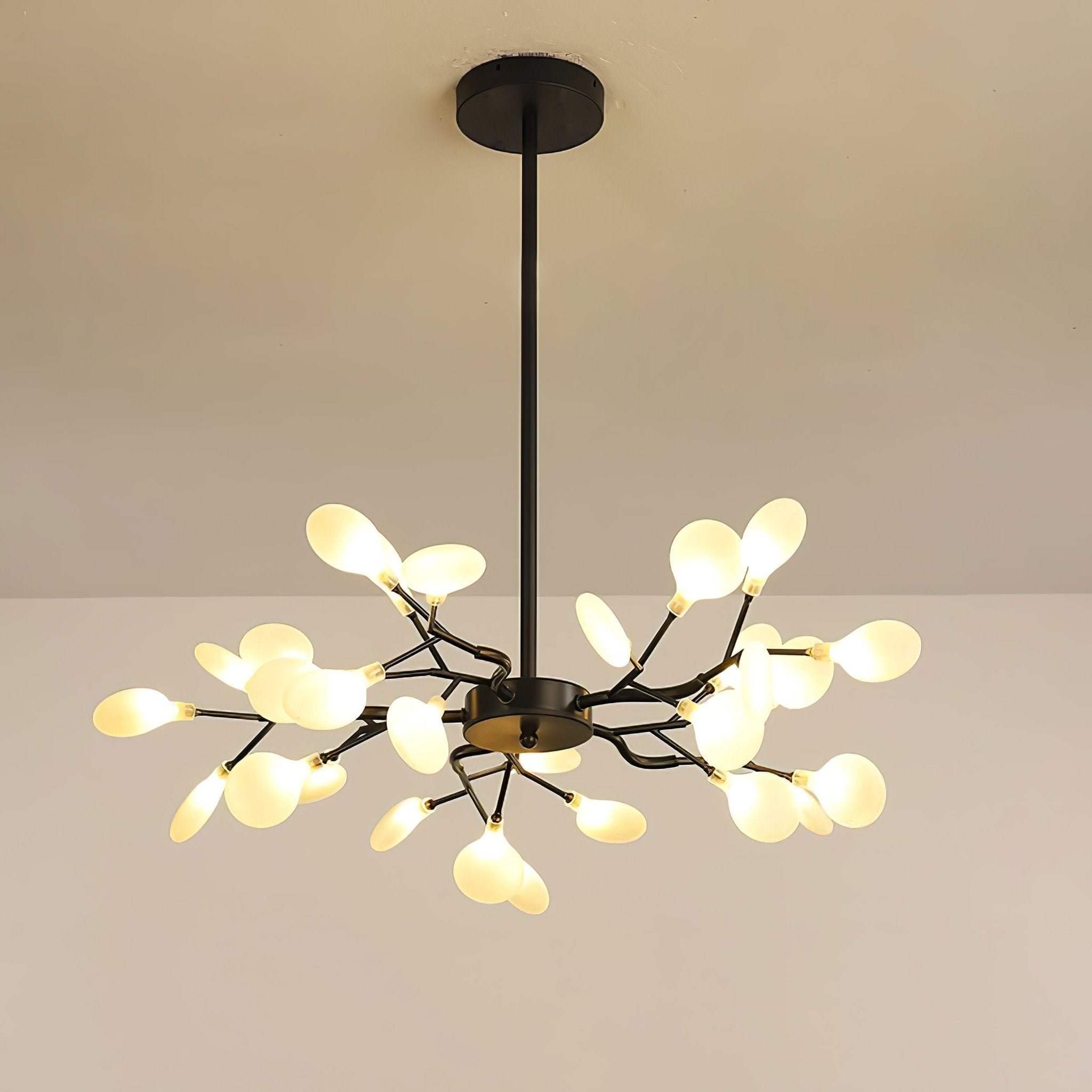Chandelier Light |  30 to 63 Heads