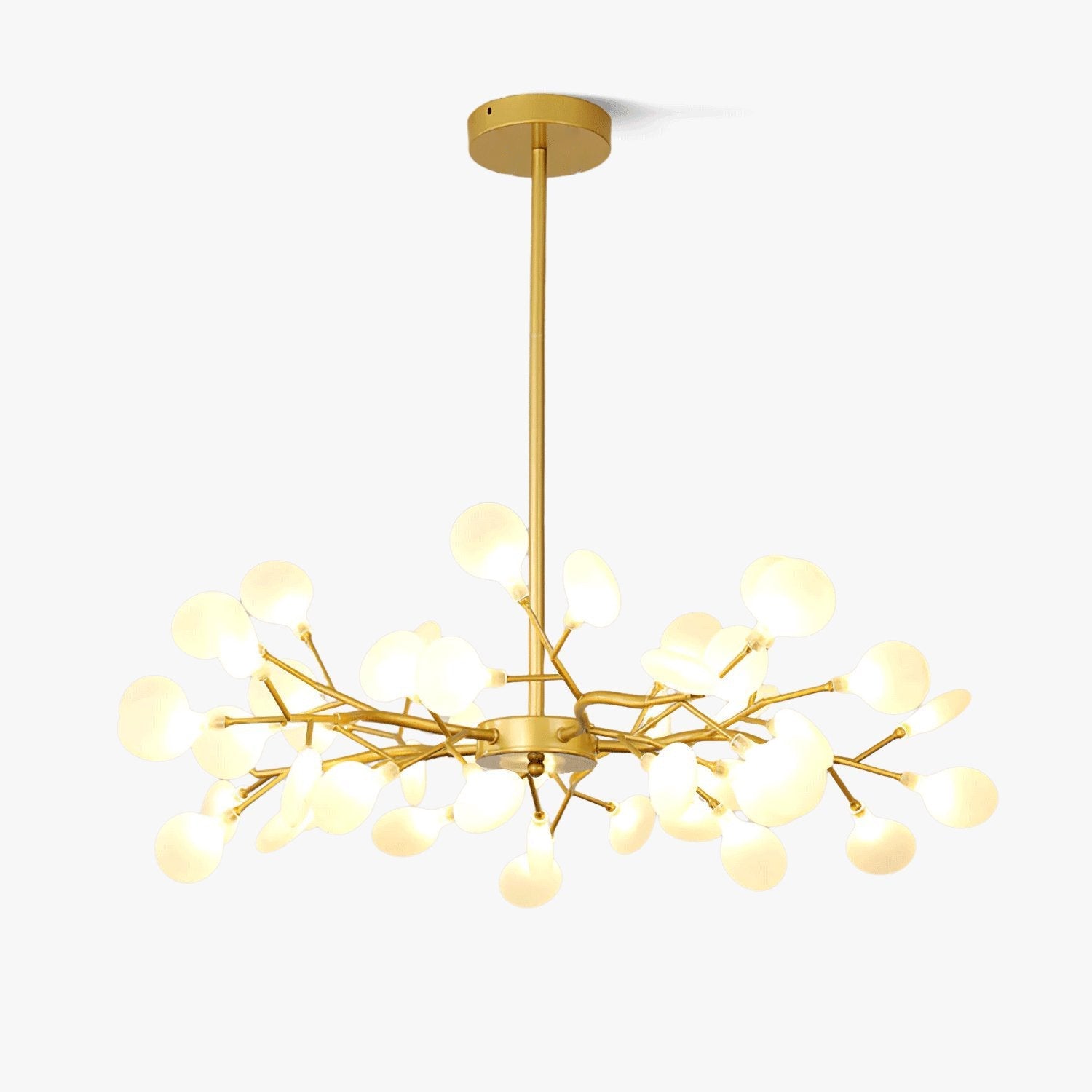 Chandelier Light |  30 to 63 Heads