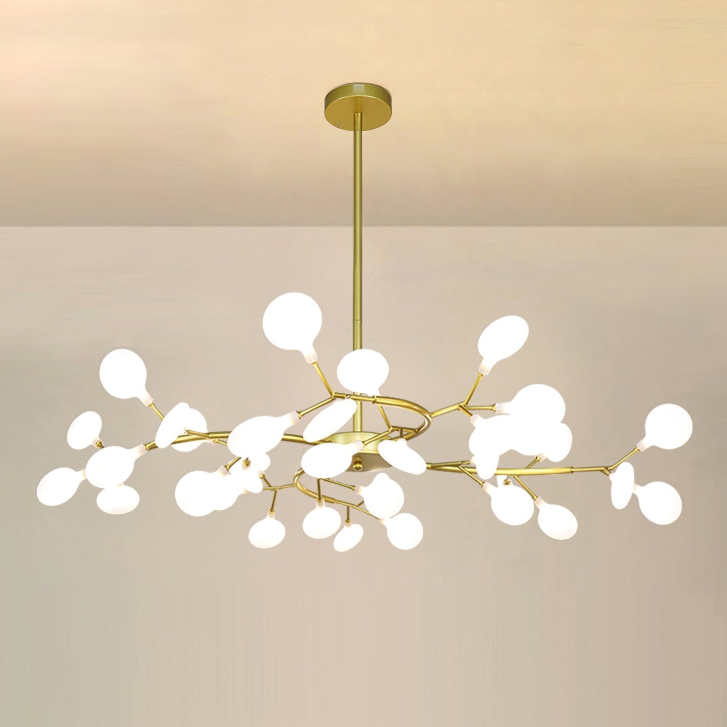 Chandelier Light |  30 to 63 Heads