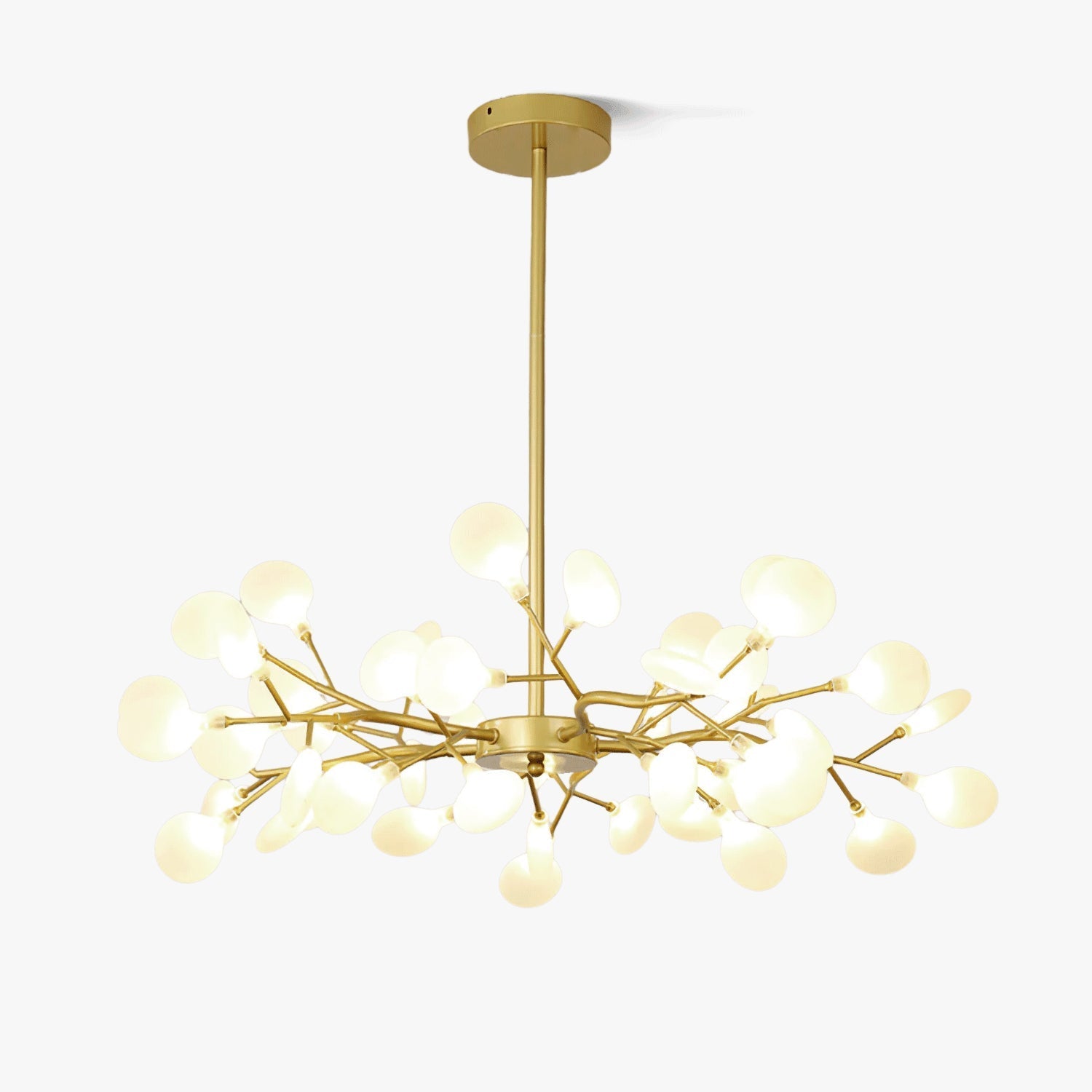 Chandelier Light |  30 to 63 Heads