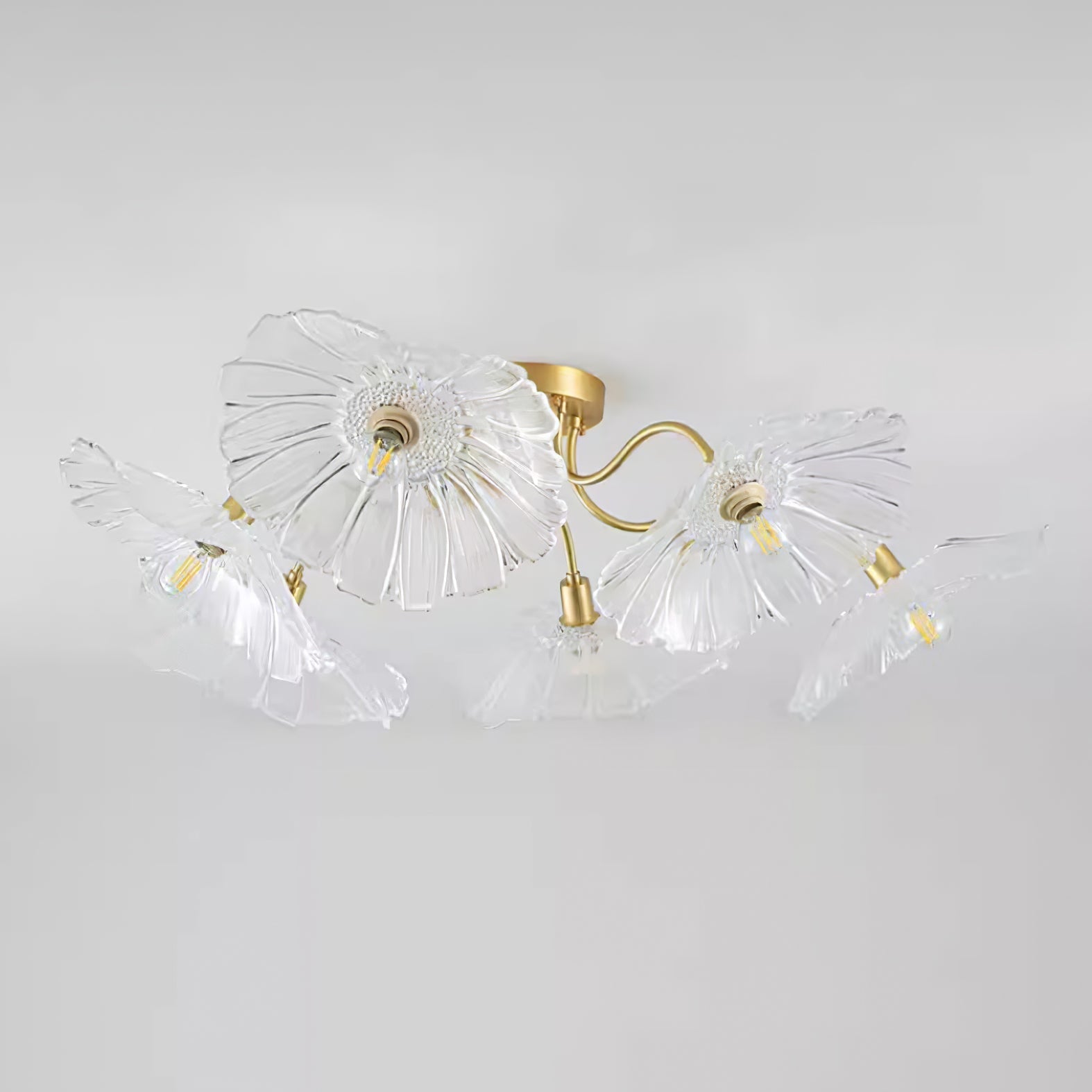 Ceiling Light | Decorative Ceiling Fixture