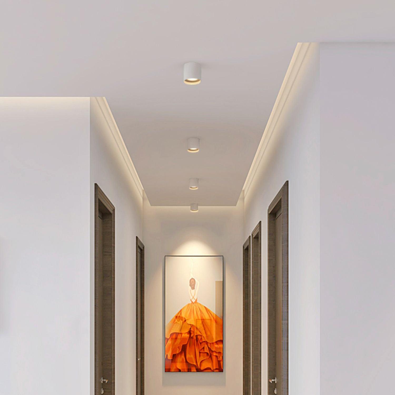 Ceiling Light | Cylinder Surface Fixture