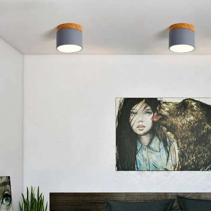 Hallway LED Ceiling Lights | Flush Mount Cylindrical Fixture