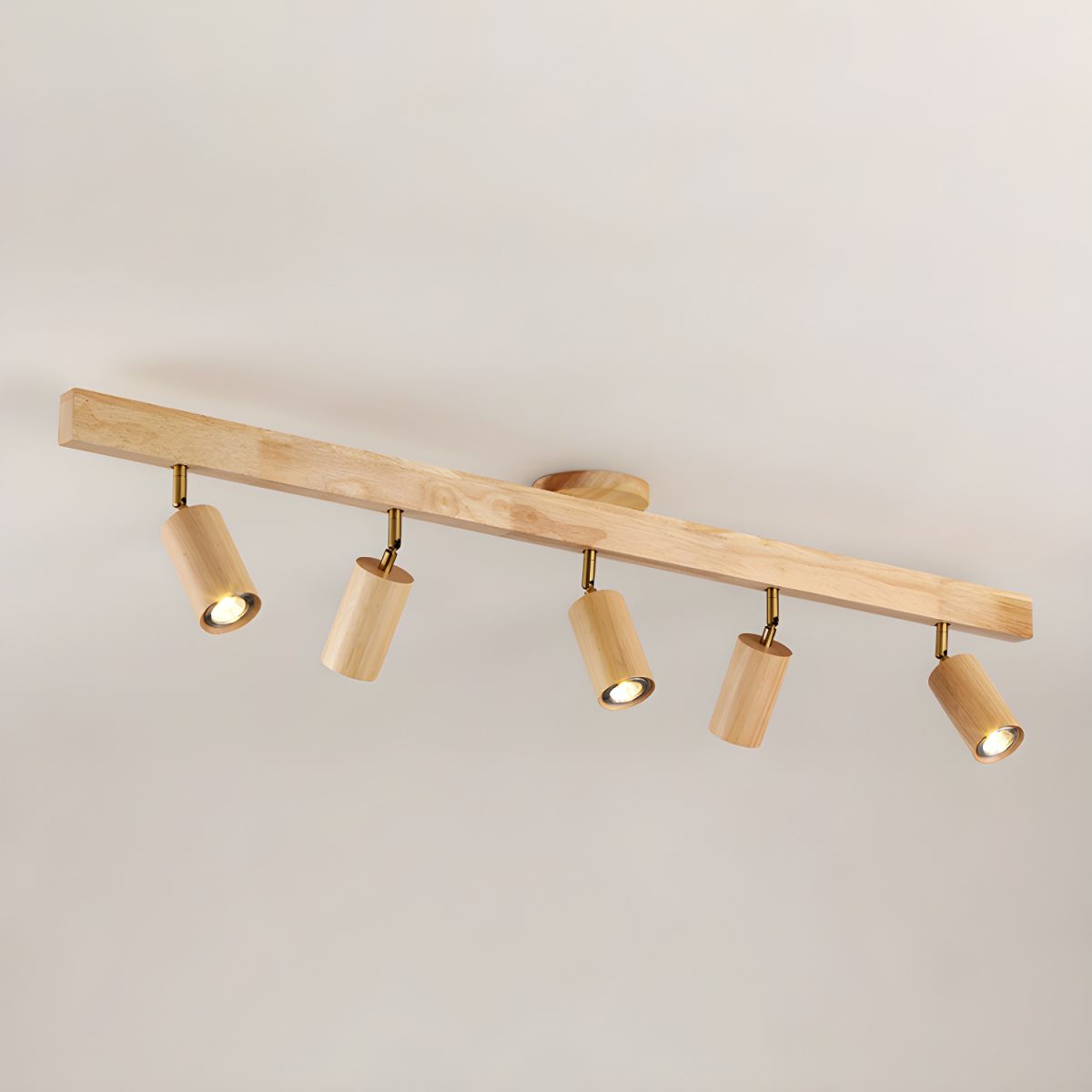Ceiling Light | Adjustable Multi-Spot Lamp