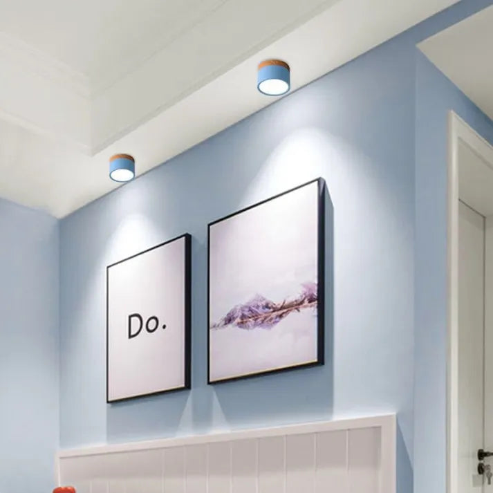 Hallway LED Ceiling Lights | Flush Mount Cylindrical Fixture